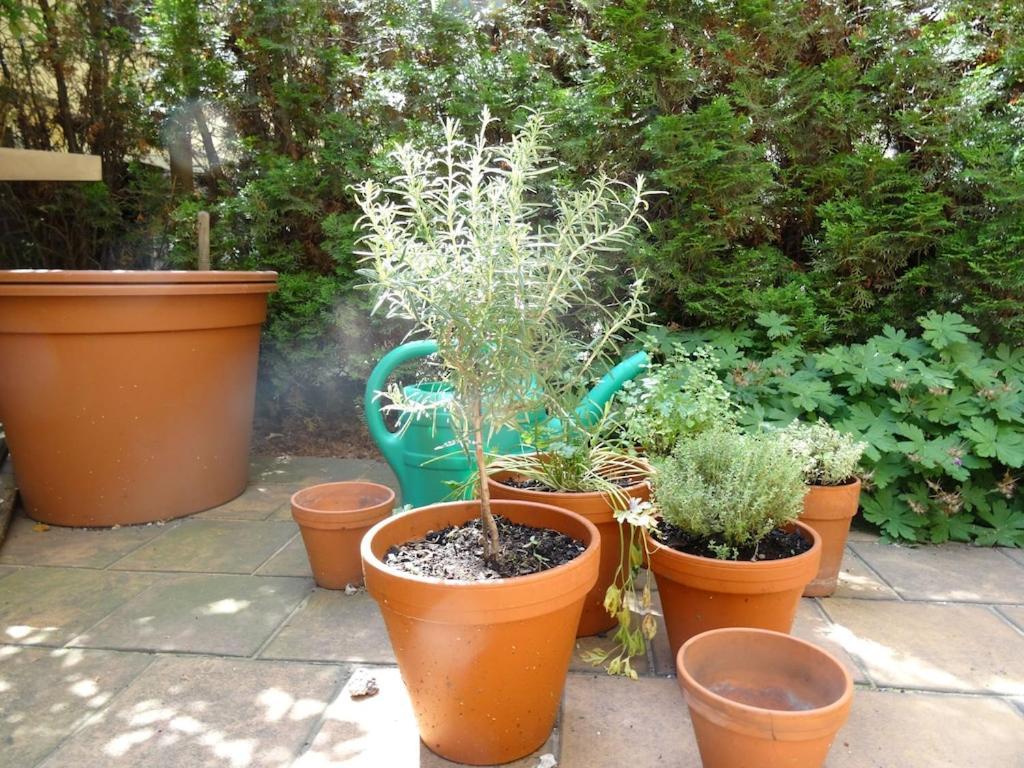 Garden Apartment On Art Nouveau Street In Central براغ المظهر الخارجي الصورة
